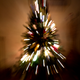 Image for article titled Zoom Photo Challenge Gallery 2